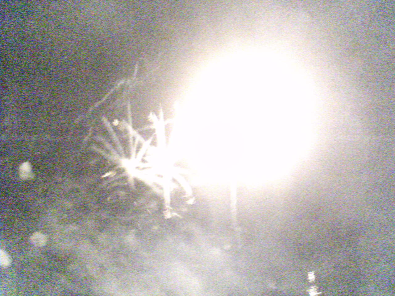 Wacken 2005 ~ 10.jpg